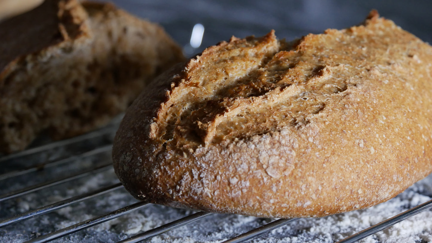 Sachets complémentaires